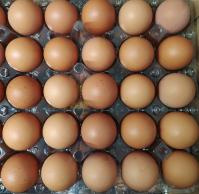 фото: Global Look Press