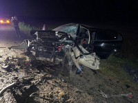 фото: пресс-служба ГУ МВД по Волгоградской области