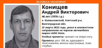 фото: Лиза Алерт