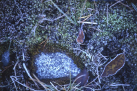 фото: Global Look Press