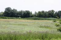 фото: Комитет природных ресурсов, лесного хозяйства и экологии Волгоградской области