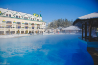 фото: Ольга Вакало. Усадьба Сосновый бор