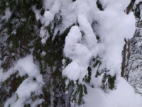 фото: Global Look Press