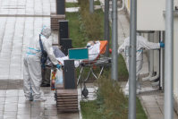 фото: Global Look Press