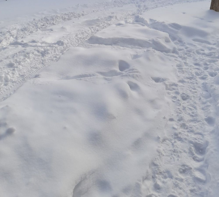 ФОТО: Интернет-газета "Кривое-зеркало"