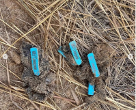 Фото: Скриншот публикации волонтеров/бирки с убитых собак