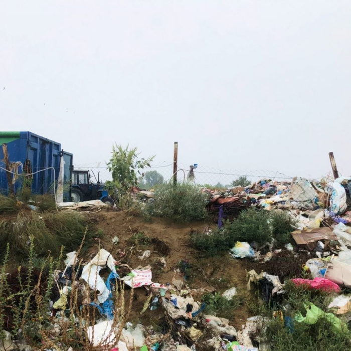 фото: Светлана Родионова. соцсети