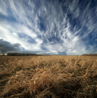 фото: Global Look Press