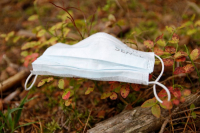 фото: Global Look Press