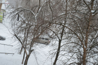 ФОТО: Интернет-газета "Кривое-зеркало"