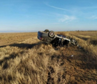 фото: пресс-служба ГУ МВД по Волгоградской области