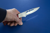 фото: Global Look Press