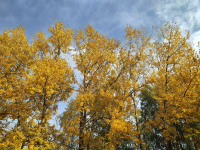 фото: Global Look Press