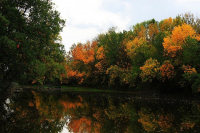 фото: официальный сайт Greenpeace