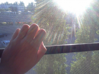 ФОТО: Интернет-газета "Кривое-зеркало"