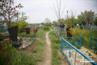 фото: ИА "СоцИнформБюро". Анатолий Панчишкин