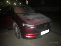 фото: пресс-служба ГУ МВД по Волгоградской области
