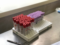 фото: пресс-служба Администрации Волгоградской области