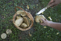 фото: Global Look Press