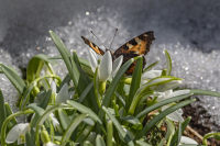 фото: Global Look Press