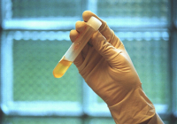 фото: Global Look Press