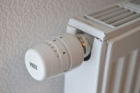 фото: Global Look Press