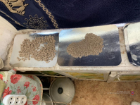 фото: пресс-служба ГУ МВД по Волгоградской области