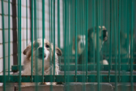 фото: Global Look Press