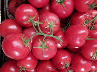 фото: Global Look Press