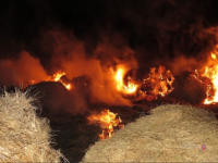 фото: пресс-служба ГУ МВД по Волгоградской области