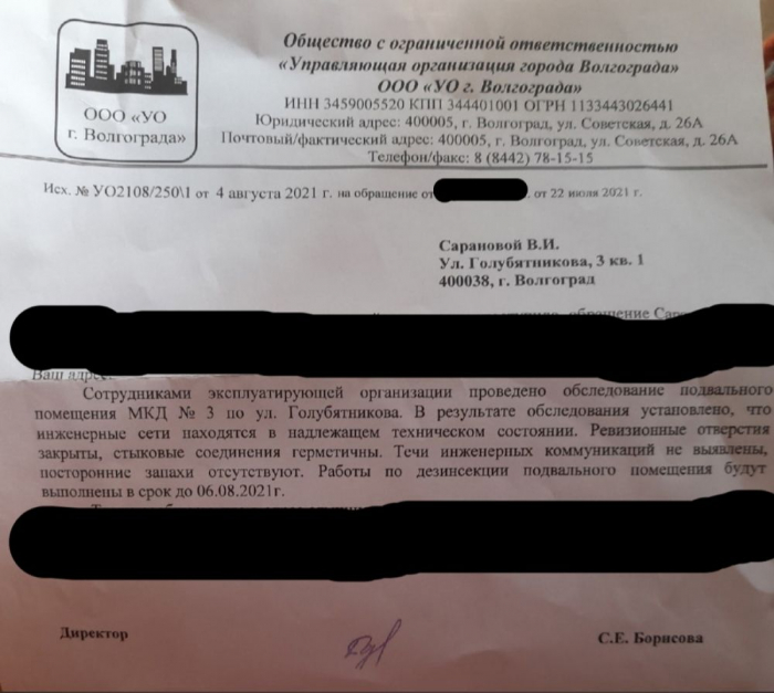 фото: ответное письмо от С.Е. Борисовой