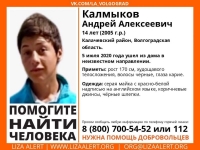 фото: Лиза Алерт