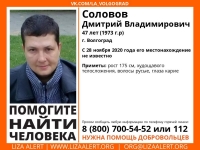 фото: Лиза Алерт