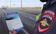 фото: пресс-служба ГУ МВД по Волгоградской области