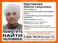фото: Лиза Алерт