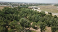 ФОТО: Интернет-газета "Кривое-зеркало"