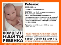 фото: Лиза Алерт
