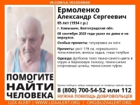 фото: Лиза Алерт