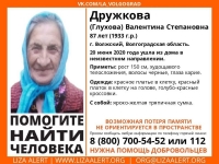 фото: Лиза Алерт