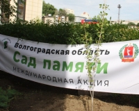 Фото: администрация Волгоградской области