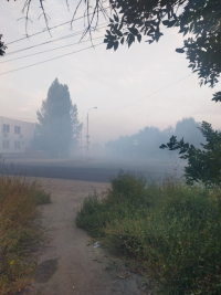 смог