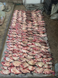 photo 2026 01 23 11 17 27