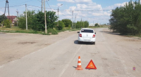 Фото: ГУ МВД по Волгоградской области