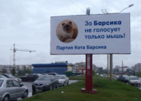 Главный полит-кот страны Барсик намерен баллотироваться в президенты 