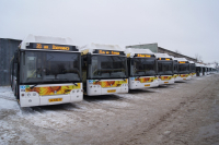 Автобусы