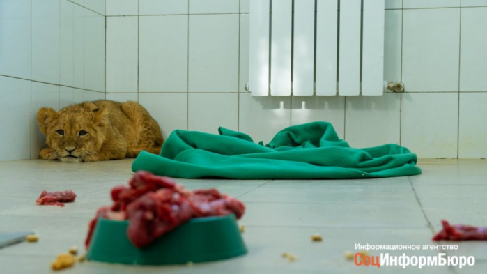 фото: Анатолий Панчишкин