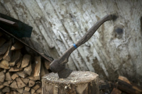фото:Globallookpress