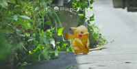 Волгоградский аэропорт просит пассажиров не играть на его территории в «Pokemon Go»