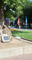 Сталинградский тополь