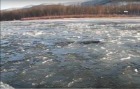 Водяная шуга